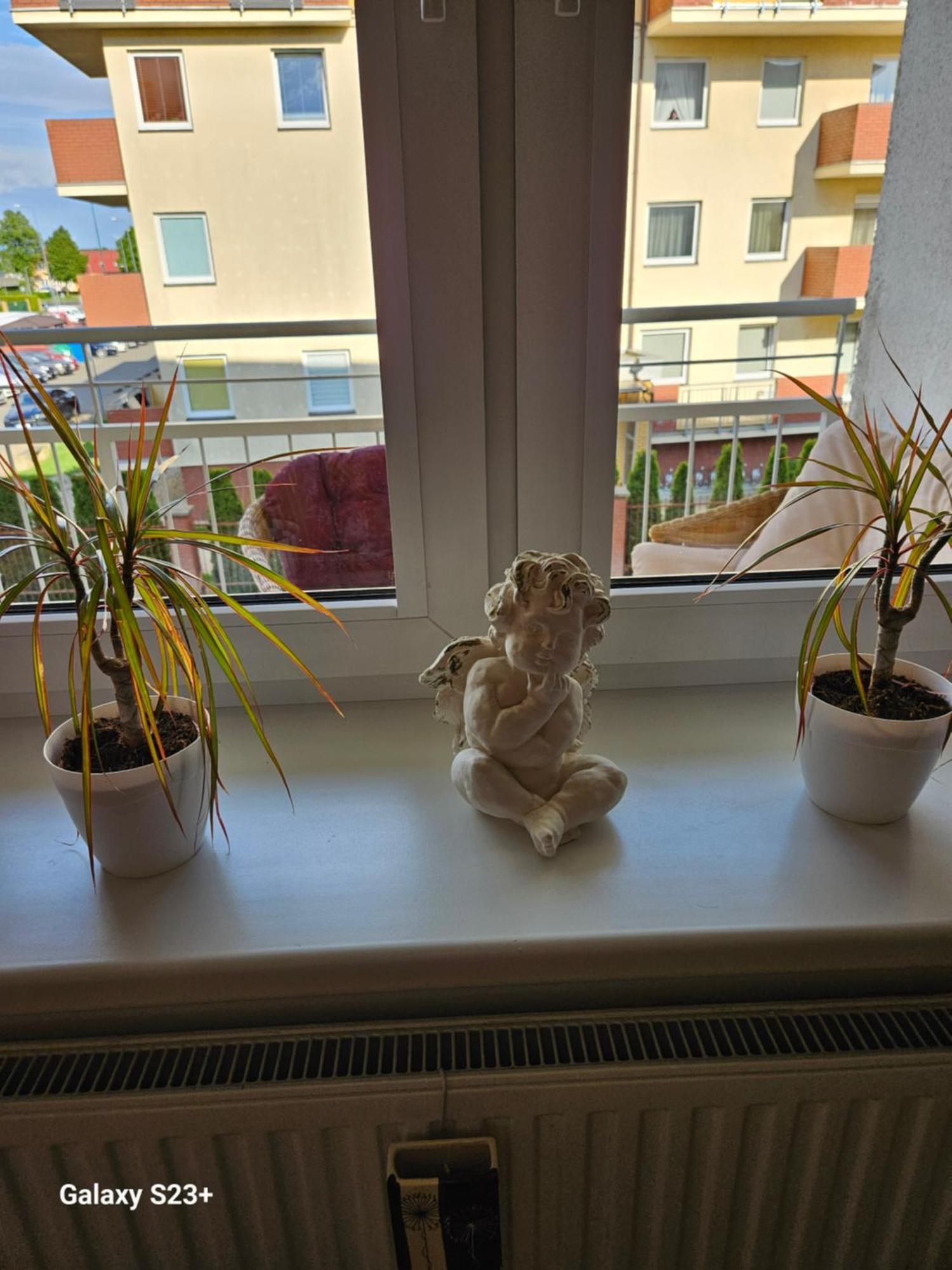 Piekny Dom Apartment